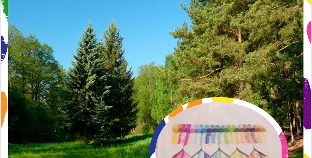 Radost pribramackum uklízí Lesopark