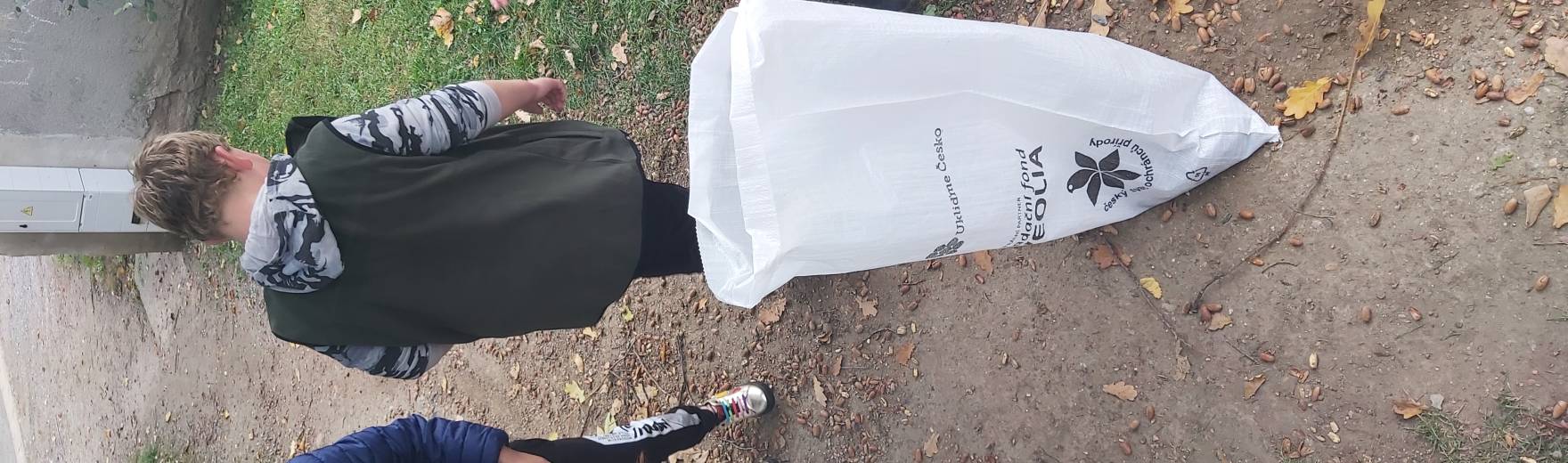 Pomoc lesní zvěři