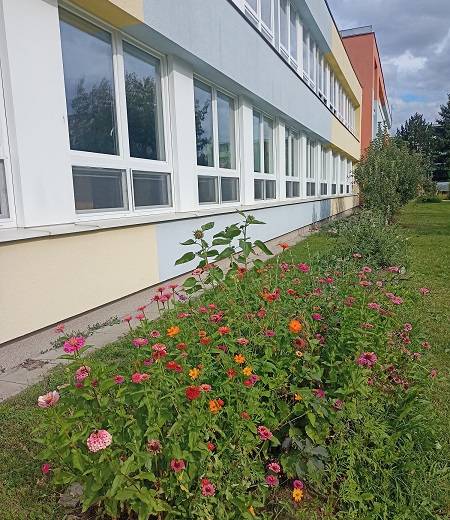 Záhon pro opylovatelé a jedlá školní zahrada