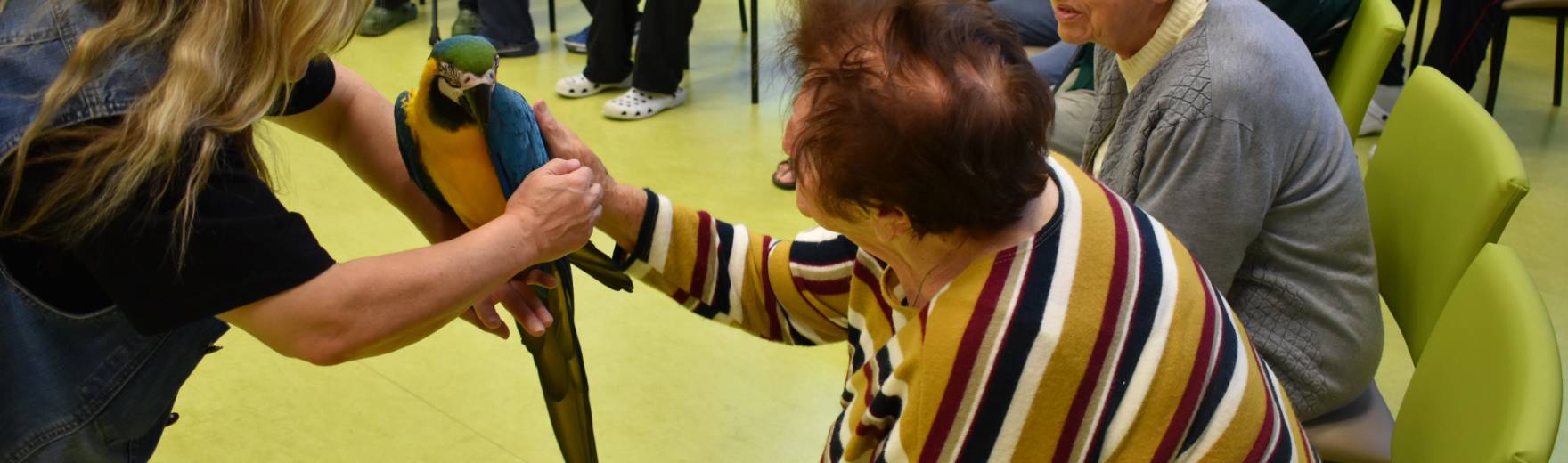 VRACÍME RADOST ZE ŽIVOTA, NEJSME LHOSTEJNÍ K ŽIVOTU DRUHÝCH