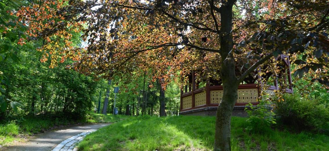 Podzimní úklid v parku