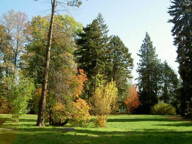 Úklid městkého parku