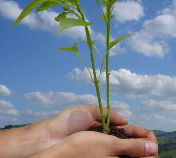 „POMŮŽEME KDE JE TŘEBA“