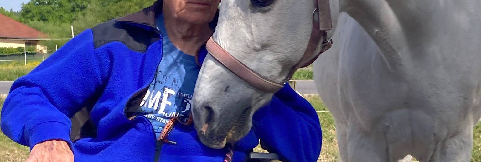 Koně spojí  generace