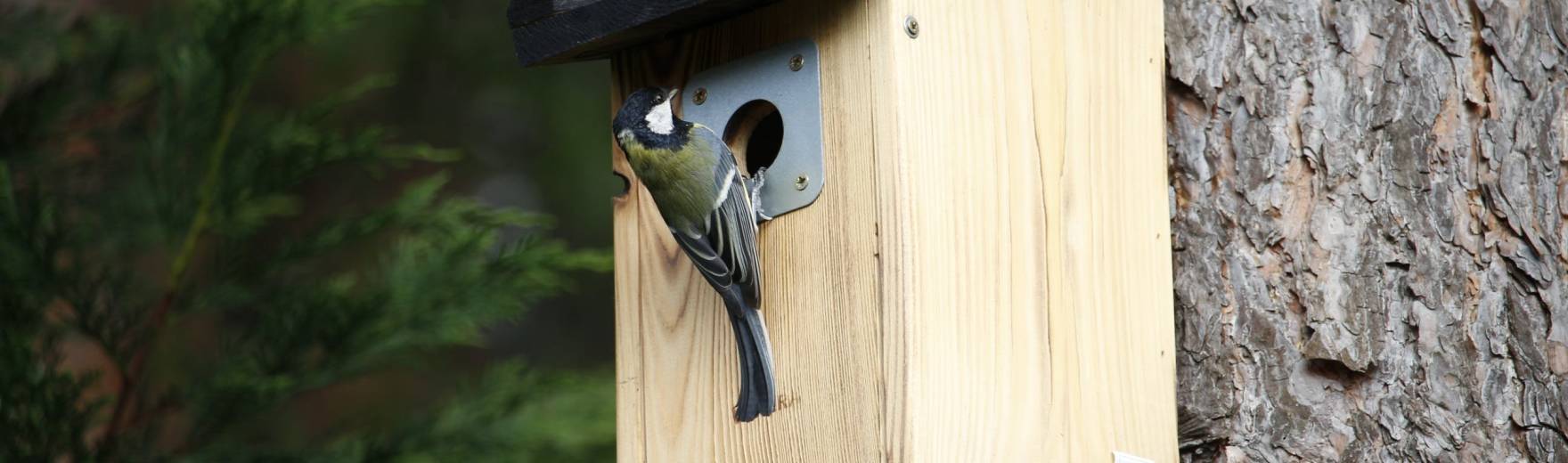 Školkáčci pomáhají ptáčkům