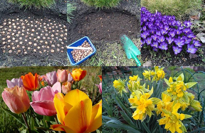 Krása a čistota v okolí ZŠ