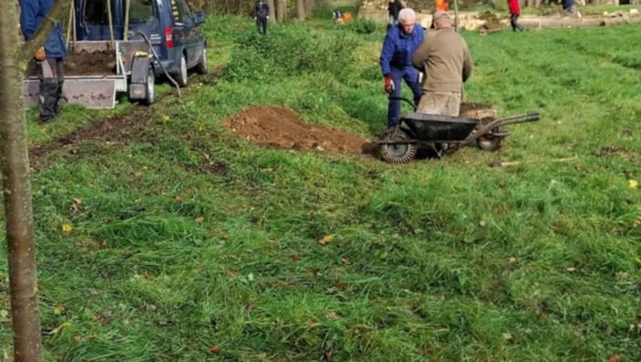 Péče o stromy u táborové základny Spálený mlýn