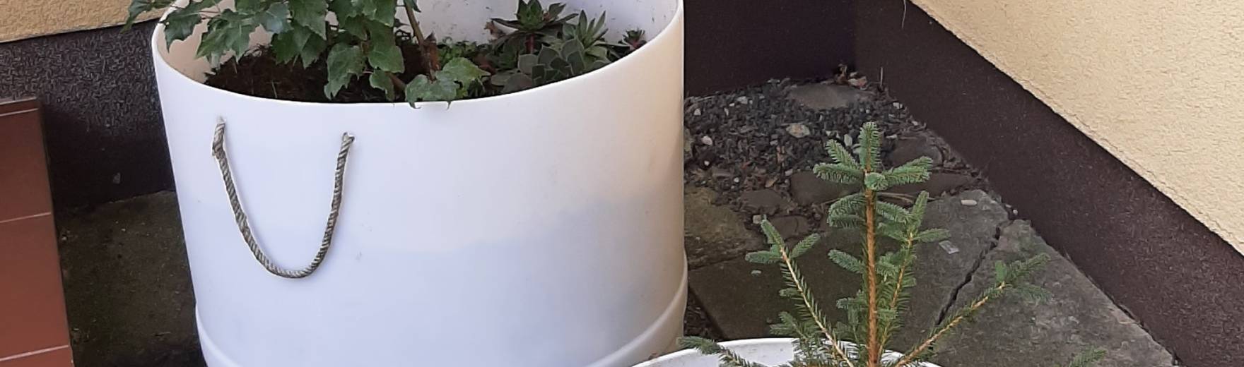 Zvelebení vstupu do budovy