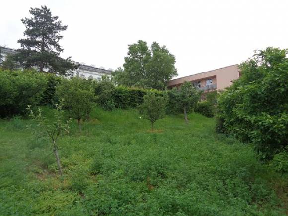Široká zahrada