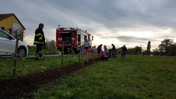 Výsadba živého plotu ve Strupčicích