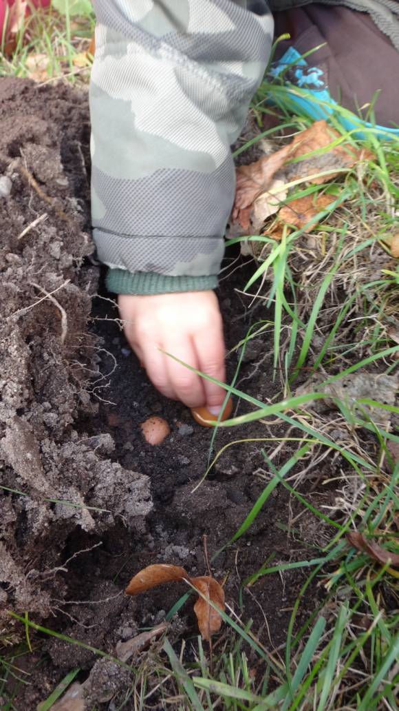 Lesokruh pomáhá rozkvést Třebechovice