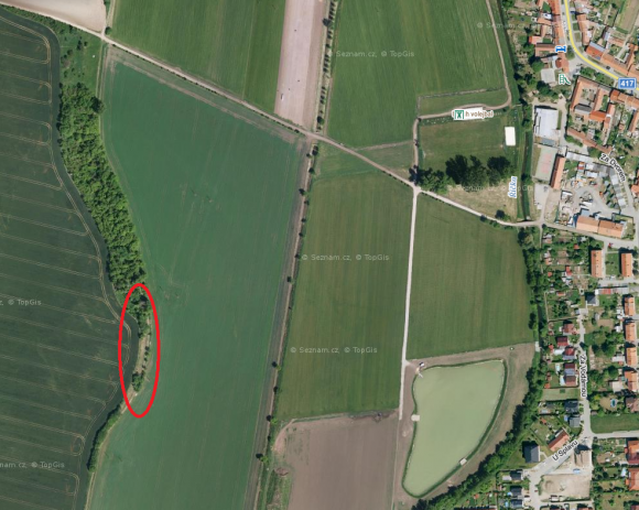 Odstraňování náletových dřevin