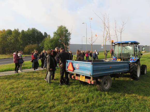 Sázení stromů, úklid okolí školy a sbírka pamlsků pro zvířátka