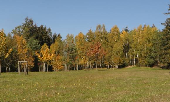 Kosí potok - sázení stromů