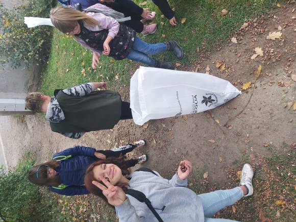 Pomoc lesní zvěři