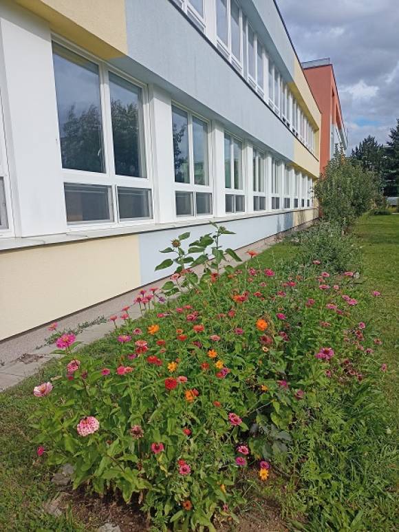 Záhon pro opylovatelé a jedlá školní zahrada