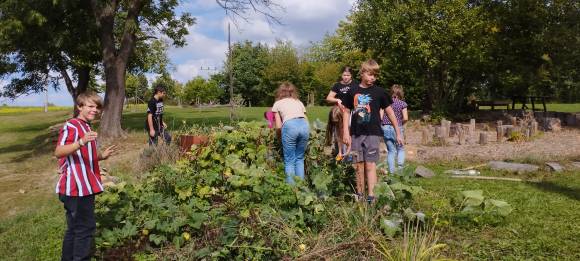 Podpora užitečných živočichů na školní zahradě