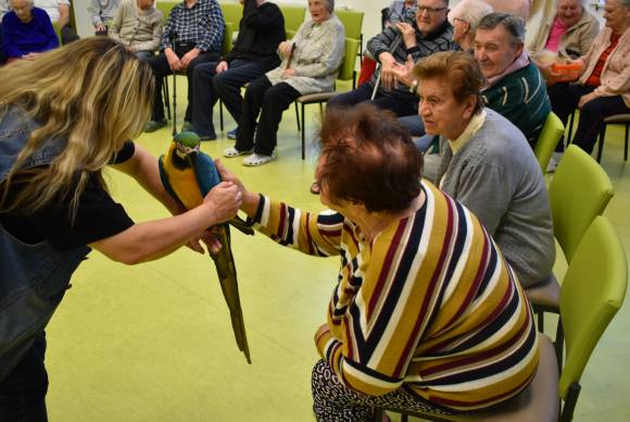 VRACÍME RADOST ZE ŽIVOTA, NEJSME LHOSTEJNÍ K ŽIVOTU DRUHÝCH