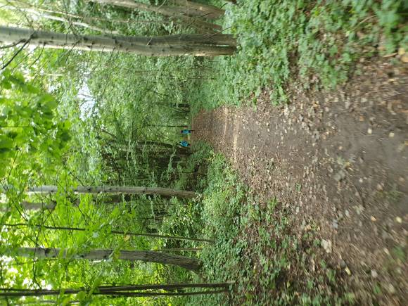 Čolci pomáhají přírodě