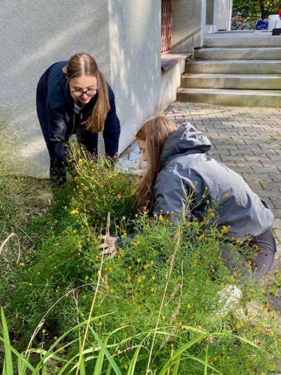 Pod smrkem za smrkem