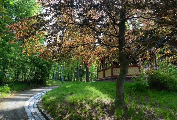 Podzimní úklid v parku