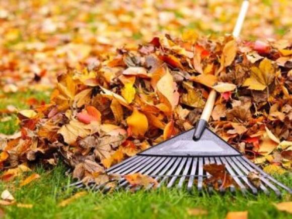 úklid cyklostezky v Novém Boru