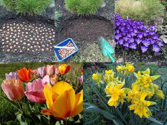 Krása a čistota v okolí ZŠ