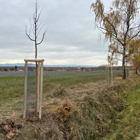 Aktivity zaměřené na zlepšení čistoty a estetiky veřejného prostoru v místě bydliště