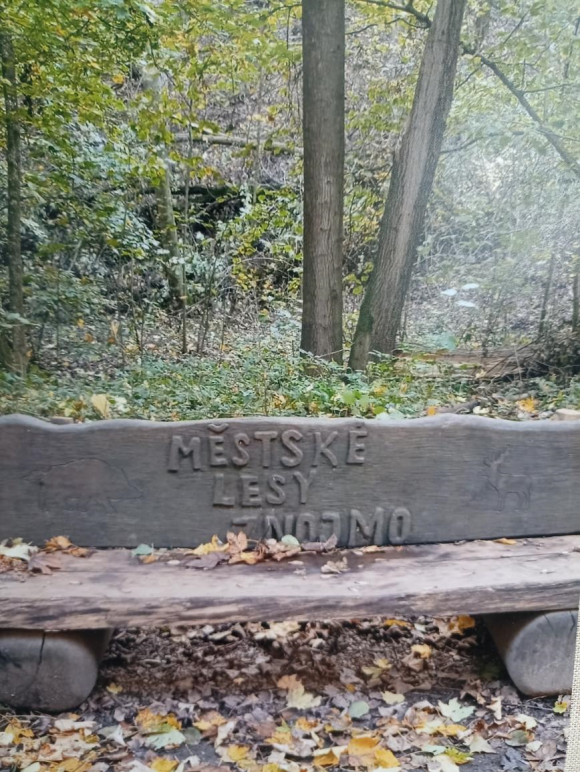 Posaďte se, nebojte se ...