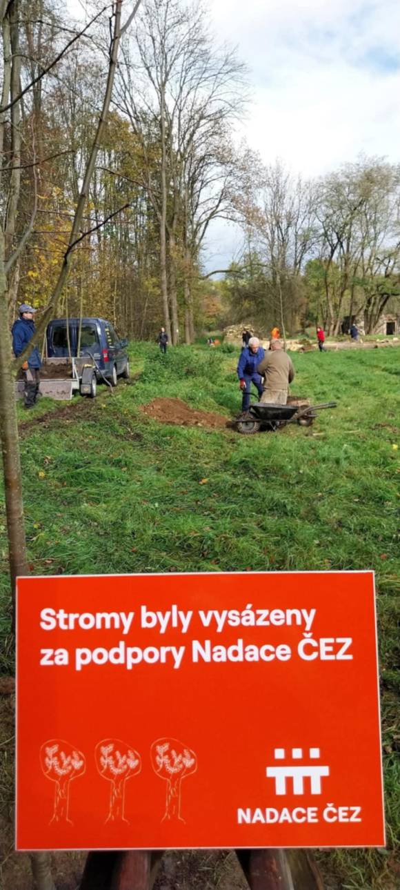 Péče o stromy u táborové základny Spálený mlýn