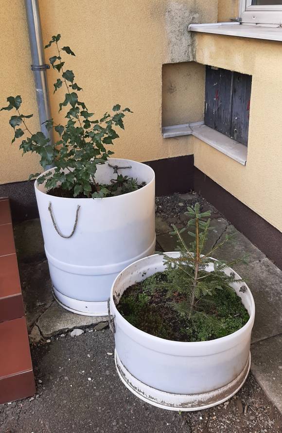 Zvelebení vstupu do budovy