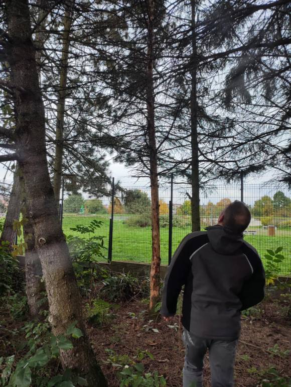 školní zahrada a její údržba