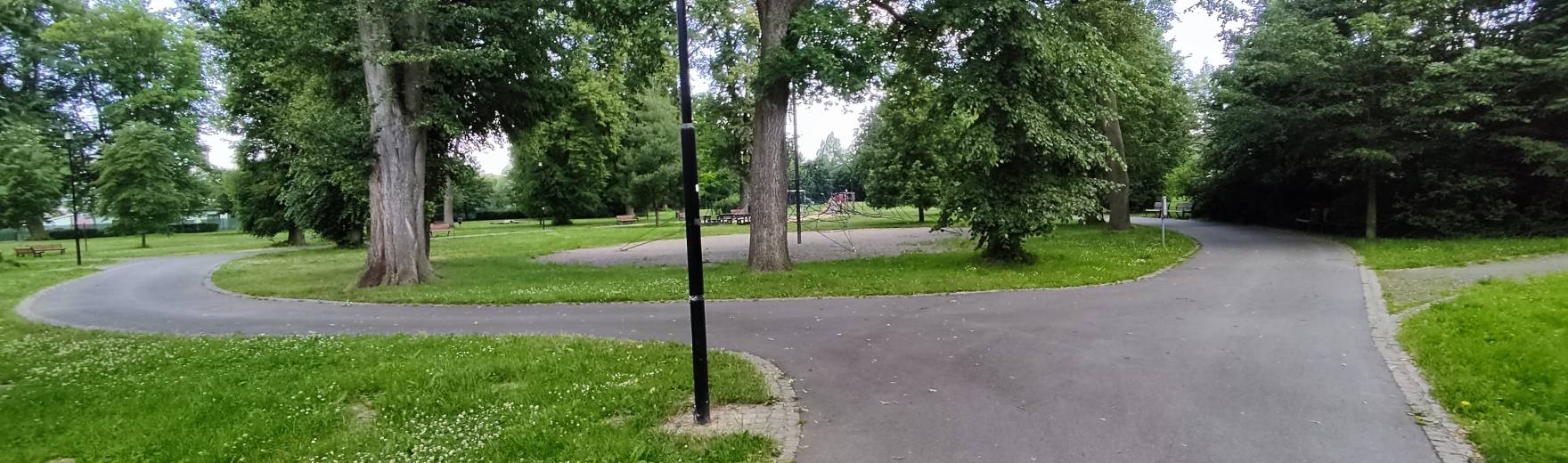 Úklid městského parku